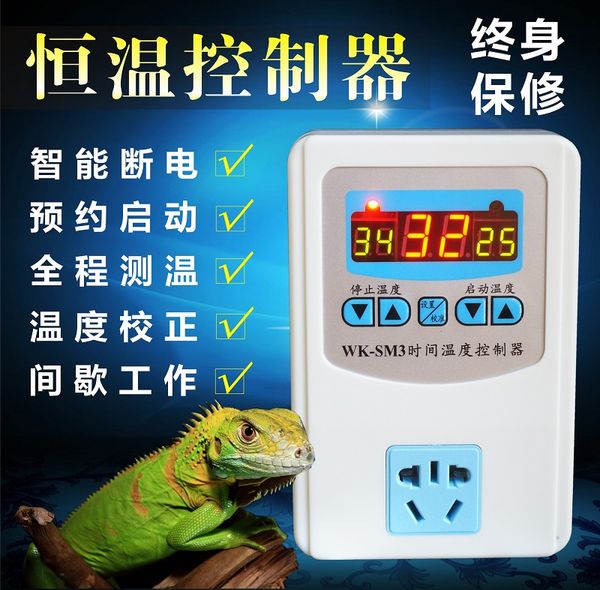 tortoise reptile crawling pet hedgehog snake guarding palace lizard parrot breeding box thermostat thermostat thermostat
tortoise reptile crawling pet hedgehog snake guarding palace lizard parrot breeding box thermostat thermostat thermostat