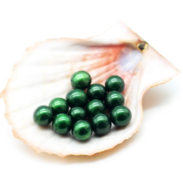 wholesale new high-quality natural freshwater pearl 7-8 mm round loose dyed pearl diy necklace jewelry gifts
wholesale new high-quality natural freshwater pearl 7-8 mm round loose dyed pearl diy necklace jewelry gifts