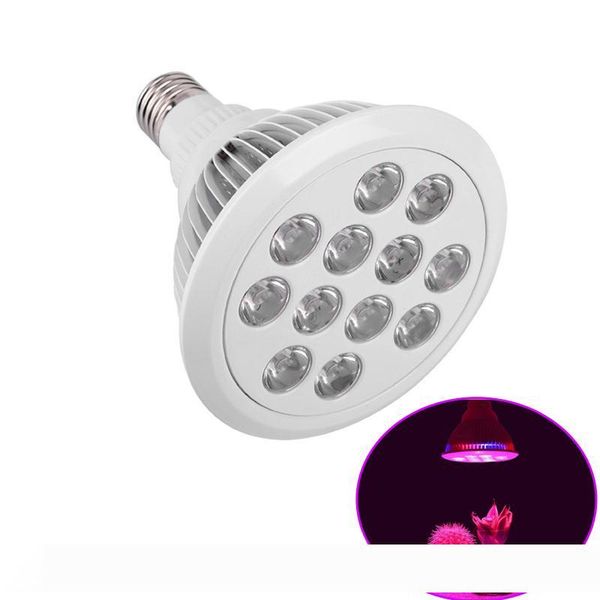led growing lights e27 12w 24w led plant grow high power light bulb indoor plants growth grow lights with ce rohs certified
led growing lights e27 12w 24w led plant grow high power light bulb indoor plants growth grow lights with ce rohs certified