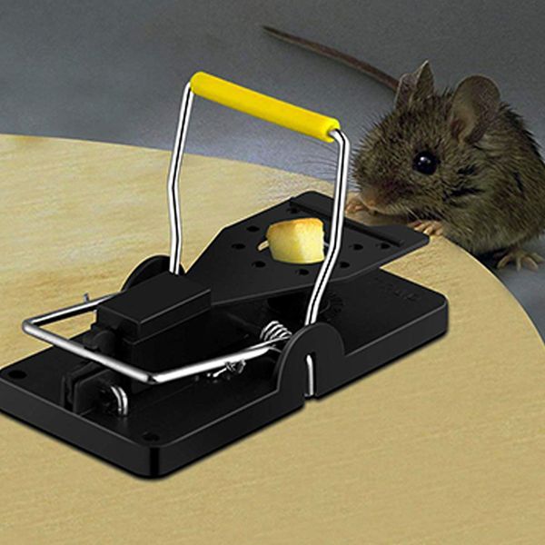 mousetrap reusable mouse trap rat killer control easy trap mice pest catching catcher plastic mousetrap pest reject 
mousetrap reusable mouse trap rat killer control easy trap mice pest catching catcher plastic mousetrap pest reject