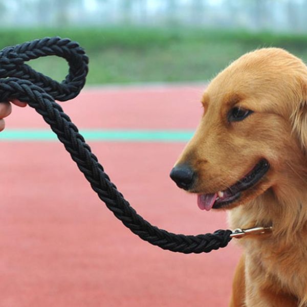 tpfocus black thicken pet braided leash rope for large dog outdoor walking nylon firm buckle long lasting 2019
tpfocus black thicken pet braided leash rope for large dog outdoor walking nylon firm buckle long lasting 2019