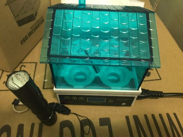 малый инкубатор автоматический micro intelligent pigeon chicken duck goose poultry science household
малый инкубатор автоматический micro intelligent pigeon chicken duck goose poultry science household