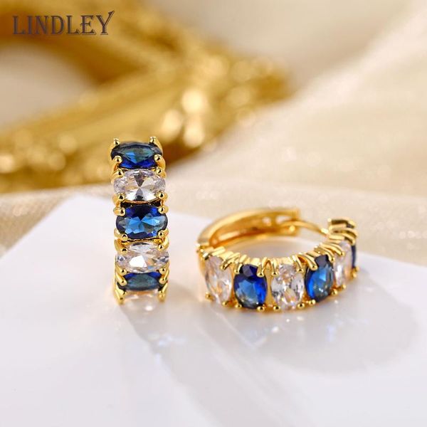 lindley gold hoop earrings zircon earrings for women small hoop wedding party birthday gift jewelry585rose gold, Golden;silver
lindley gold hoop earrings zircon earrings for women small hoop wedding party birthday gift jewelry585rose gold, Golden;silver
