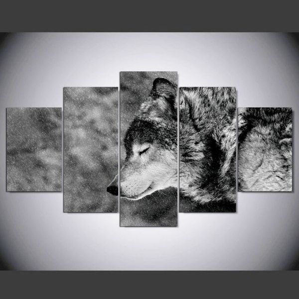 5 panel wolf modern hd art print canvas art wall oil paintings picture for living room wall decor
5 panel wolf modern hd art print canvas art wall oil paintings picture for living room wall decor