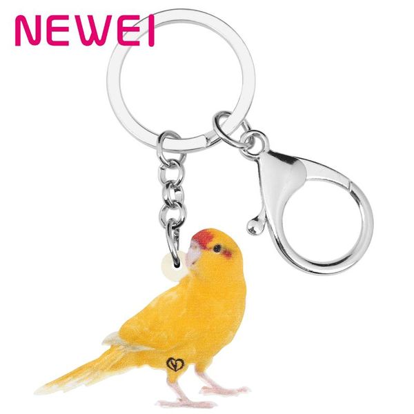 newei acrylic bright-coloued canary keychains keyring big lovely bird animal key chain jewelry for women girls teen classic gift, Silver
newei acrylic bright-coloued canary keychains keyring big lovely bird animal key chain jewelry for women girls teen classic gift, Silver