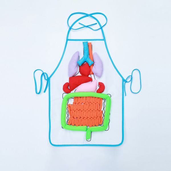 montessori educational toy anatomy human body organs apron kids toys for children biology science learning school teaching aids
montessori educational toy anatomy human body organs apron kids toys for children biology science learning school teaching aids