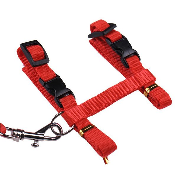 camping puppy outdoor walking handheld durable pet accessories home travel dog cat traction belt
camping puppy outdoor walking handheld durable pet accessories home travel dog cat traction belt