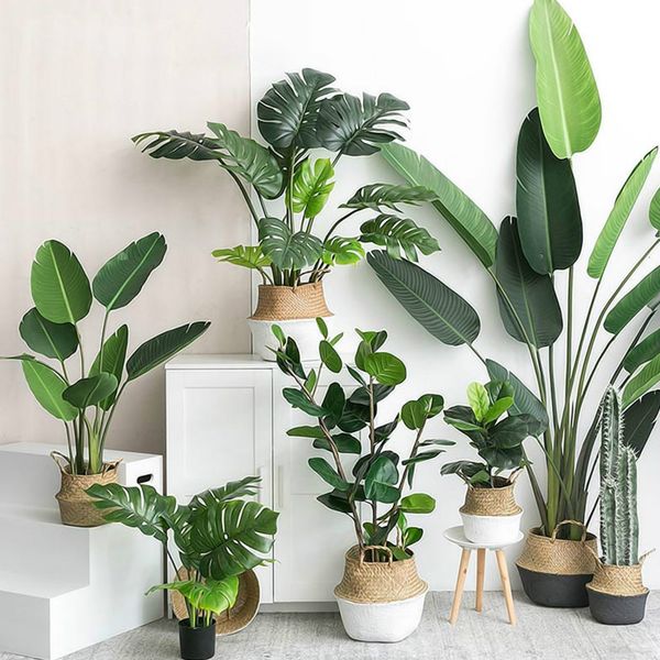 decorative flowers & wreaths 1pc artificial plants green turtle leaves garden home decor mexican autumn decoration grass plant
decorative flowers & wreaths 1pc artificial plants green turtle leaves garden home decor mexican autumn decoration grass plant