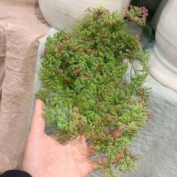 forest department simulation plastic moss fake green plants wall hanging flower home living room window sill decorative plants
forest department simulation plastic moss fake green plants wall hanging flower home living room window sill decorative plants