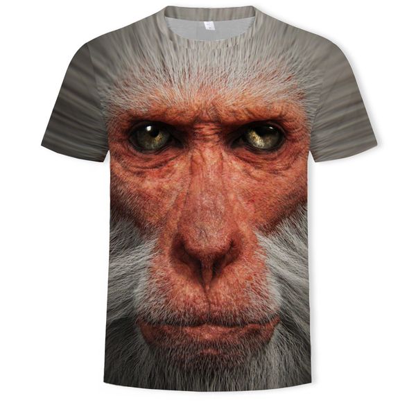 mens designer summer animal monkey 3d digital printed t-shirt round collar short sleeve t, White;black
mens designer summer animal monkey 3d digital printed t-shirt round collar short sleeve t, White;black