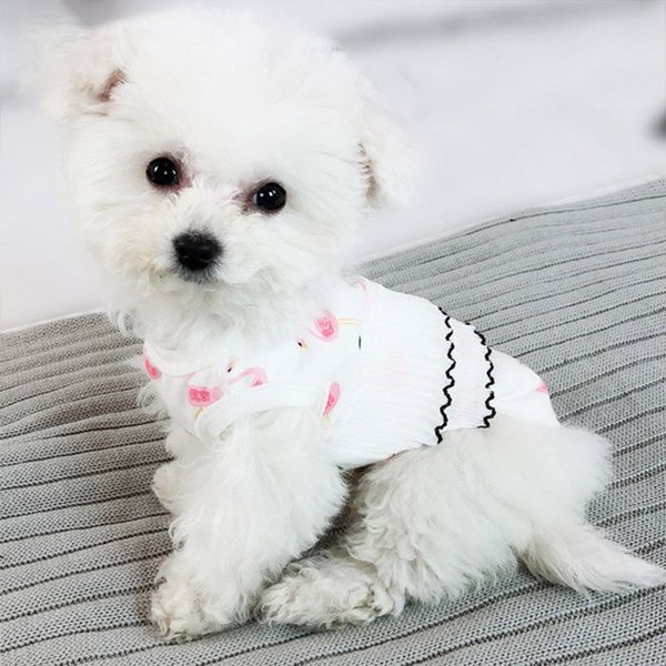 corgi cottono clothes lace pets dogs clothing for small medium dogs costume flamingo pet shirt puppy outfit small dog cat costume
corgi cottono clothes lace pets dogs clothing for small medium dogs costume flamingo pet shirt puppy outfit small dog cat costume