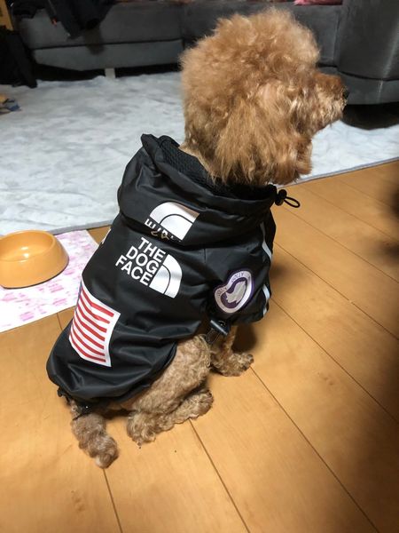 luxury winter small dog clothes for small large dogs french bulldog clothes clothing for dogs coat the dog face jacket
luxury winter small dog clothes for small large dogs french bulldog clothes clothing for dogs coat the dog face jacket