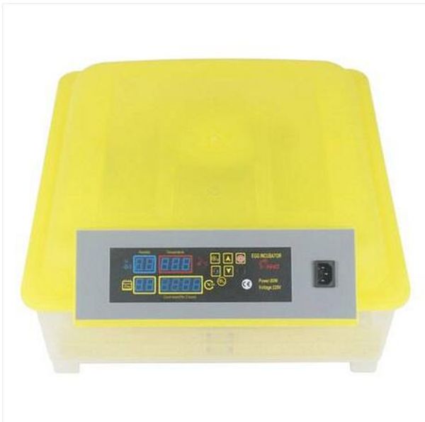 wholesales 48-egg practical fully automatic poultry incubator (us standard) yellow transparent
wholesales 48-egg practical fully automatic poultry incubator (us standard) yellow transparent
