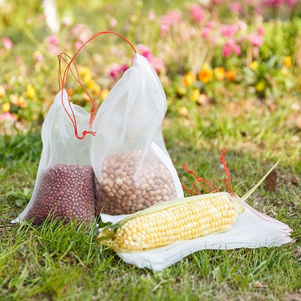 garden plant fruit protect drawstring net bag insects mosquito bug net barrier bag mesh against insect pest bird for protectin
garden plant fruit protect drawstring net bag insects mosquito bug net barrier bag mesh against insect pest bird for protectin