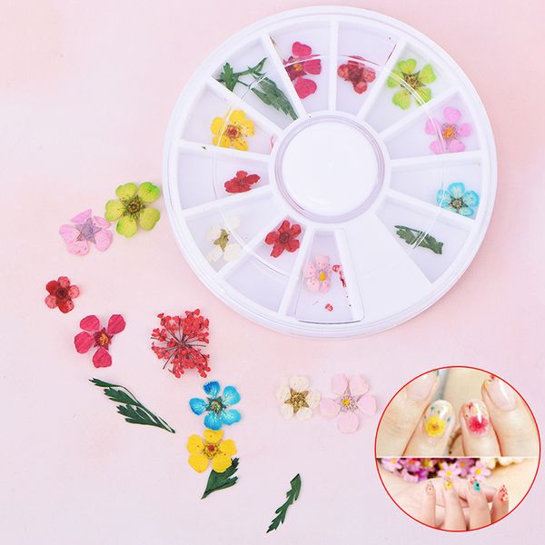 24pcs/wheel 3d dried flower nail art decoration mixed manicure polish pressed floral leaf nail art decorations sale, Silver;gold
24pcs/wheel 3d dried flower nail art decoration mixed manicure polish pressed floral leaf nail art decorations sale, Silver;gold