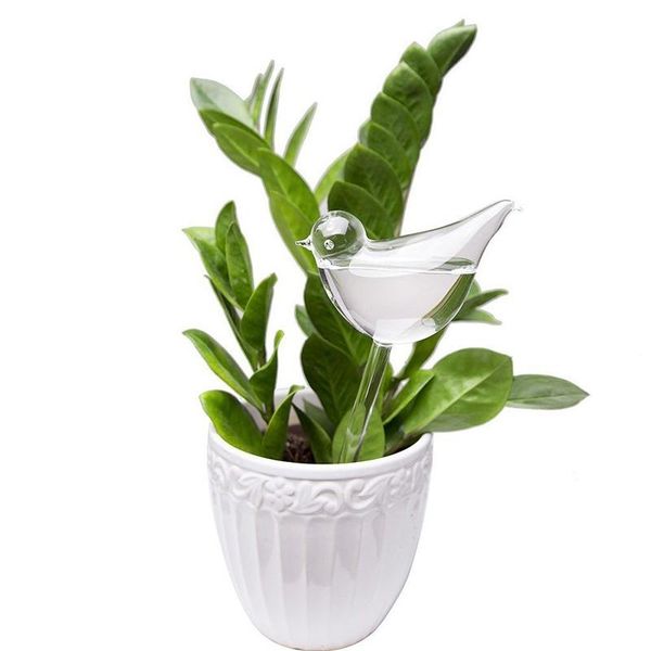 lumiparty self watering globe plant water bulbs bird shape clear glass watering device-25
lumiparty self watering globe plant water bulbs bird shape clear glass watering device-25