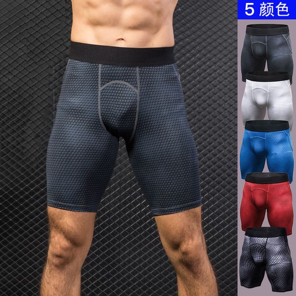 men's 3-d printing training fitness running pants elastic tight-fitting fast-drying shorts 4005, Black;blue
men's 3-d printing training fitness running pants elastic tight-fitting fast-drying shorts 4005, Black;blue