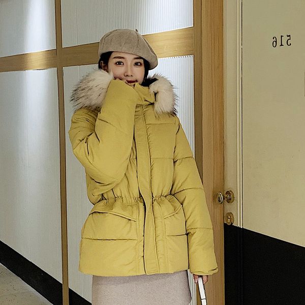 2019 winter new stylish simplicity cotton coat korean hooded big fur collar feather parka loose thick women jacket w125, Black
2019 winter new stylish simplicity cotton coat korean hooded big fur collar feather parka loose thick women jacket w125, Black