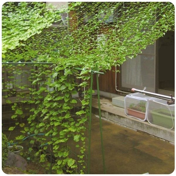 1pc vines petunia nylon trellis net potted plant nets grow fence anti bird net useful green networks flower garden support nets
1pc vines petunia nylon trellis net potted plant nets grow fence anti bird net useful green networks flower garden support nets