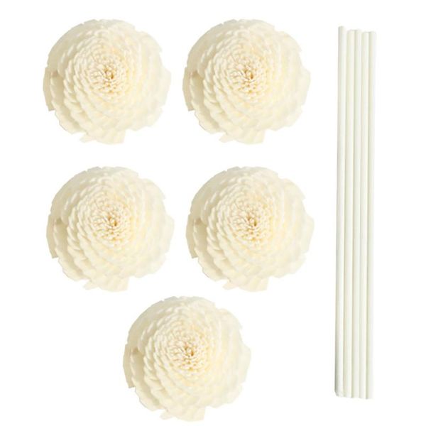 5pcs practical professional aroma rattan reed flower head home l decoration fragrance bathrooms replacement diffuser sticks
5pcs practical professional aroma rattan reed flower head home l decoration fragrance bathrooms replacement diffuser sticks