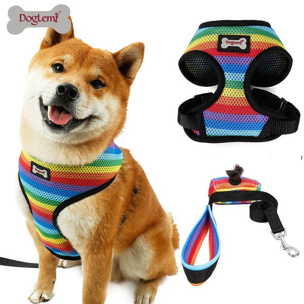 dog leash pet adjustable cat dog leash long medium and large pet breathable traction chest strap rainbow chest strap w726
dog leash pet adjustable cat dog leash long medium and large pet breathable traction chest strap rainbow chest strap w726