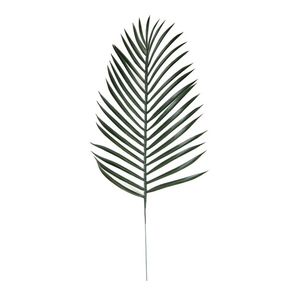 10pcs decorative simulation lifelike plastic decor plant for home pgraphy props decoration
10pcs decorative simulation lifelike plastic decor plant for home pgraphy props decoration