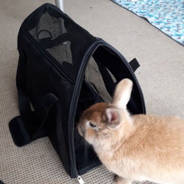 portable travel pet carrier for cat dog backpack carrying handbag small dog shoulder sling bag for puppy kitten chihuahua anim