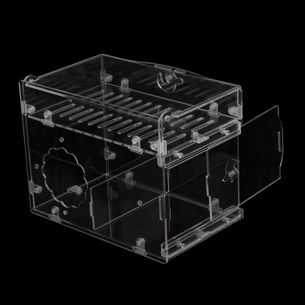 pet bird parrot acrylic breeding box parakeet budgie cockatiel breeding nesting cage box
pet bird parrot acrylic breeding box parakeet budgie cockatiel breeding nesting cage box