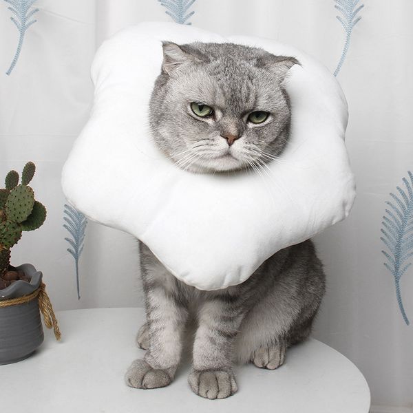 pet dog cat anti-bite elizabeth collar pet wound recovery healing medical protective collar cotton cute poached egg shape collar
pet dog cat anti-bite elizabeth collar pet wound recovery healing medical protective collar cotton cute poached egg shape collar