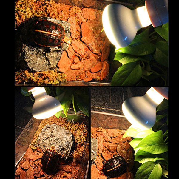 50w ac220-240v pet heating lamp uva day night amphibian amphibian snake lamp heat reptile e27 bulb light
50w ac220-240v pet heating lamp uva day night amphibian amphibian snake lamp heat reptile e27 bulb light