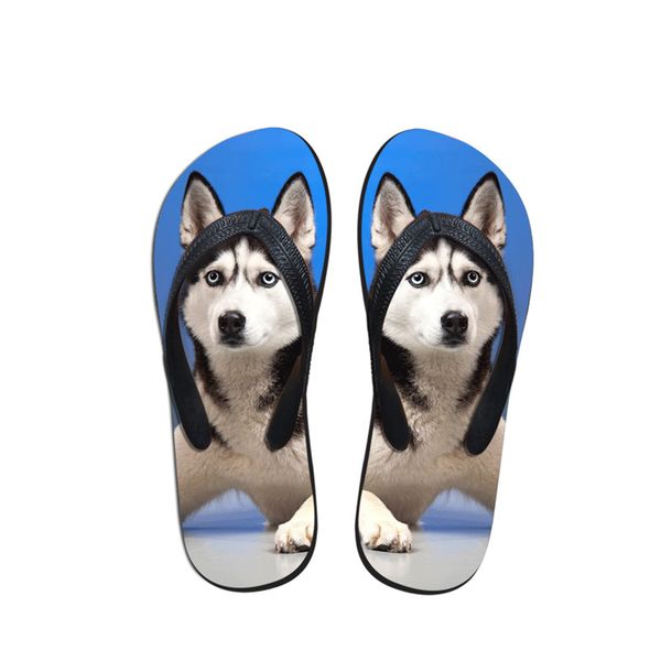 new arrival alaskan malamute print new flip flops creative fashion summer beach for woman casual slippers sandals flats shoes, Black
new arrival alaskan malamute print new flip flops creative fashion summer beach for woman casual slippers sandals flats shoes, Black