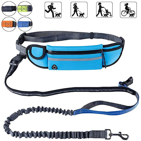 hands dog leash reflective waterproof dog lead running leash for medium large dogs adjustable waist belt with pouch
hands dog leash reflective waterproof dog lead running leash for medium large dogs adjustable waist belt with pouch