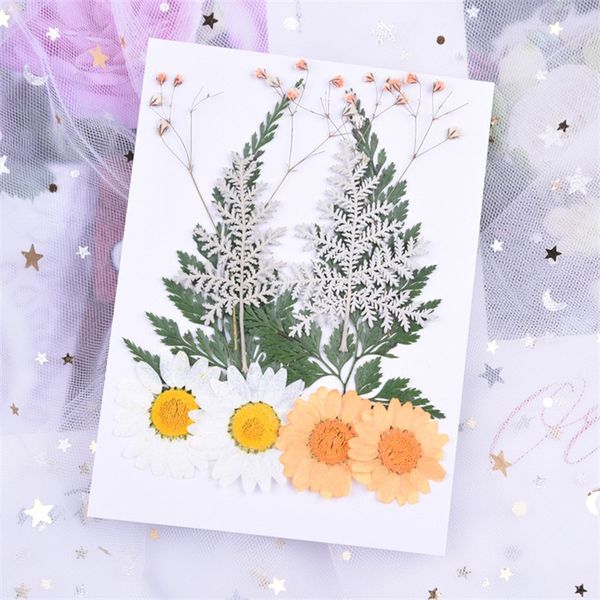 diy flower material dried flowers collocation materials package sun flower children manual natural product with different style 5 4dg j1
diy flower material dried flowers collocation materials package sun flower children manual natural product with different style 5 4dg j1