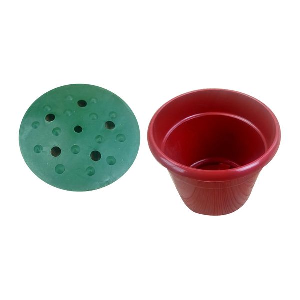 plastic flowerpot with internal support set of 2 for succulent plant flowers bonsai plant holder pot style b
plastic flowerpot with internal support set of 2 for succulent plant flowers bonsai plant holder pot style b