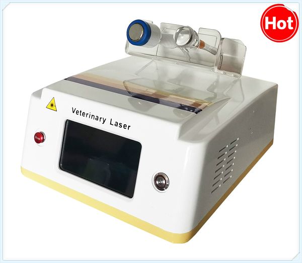 other beauty equipment 2022 medical cold laser therapy veterinary equipment relief wound healing sports animal injury hurt pain removal ce
other beauty equipment 2022 medical cold laser therapy veterinary equipment relief wound healing sports animal injury hurt pain removal ce