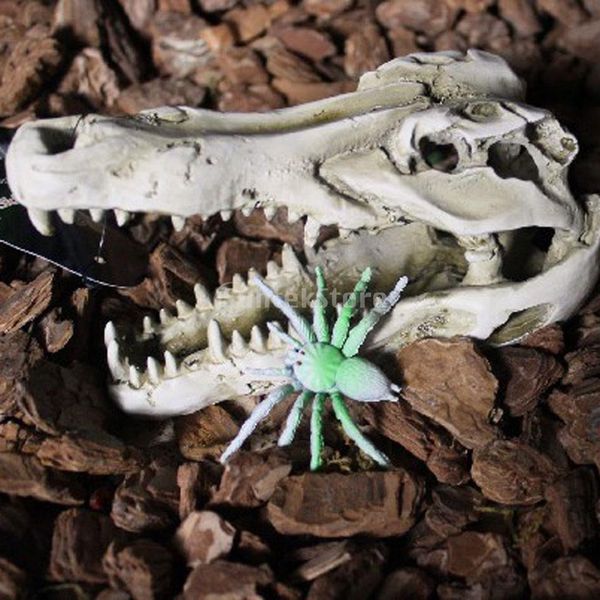 reptile vivarium decoration hiding cave aquarium underwater ornament crocodile skull
reptile vivarium decoration hiding cave aquarium underwater ornament crocodile skull