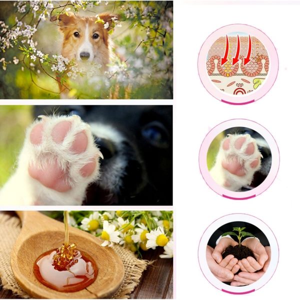 pet подушечки кремы щенок собаки кошки paw уход крем увлажняющий защита стопы toe здоровья продукты для домашних животных стрижка собак
pet подушечки кремы щенок собаки кошки paw уход крем увлажняющий защита стопы toe здоровья продукты для домашних животных стрижка собак