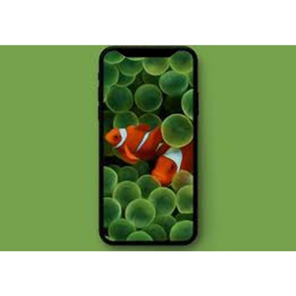 6.5inch lte 2019 макс android 6.0 quad core 1g ram 4g rom 8mp камера 3g wcdma разблокирована телефон показать поддельный 4g
6.5inch lte 2019 макс android 6.0 quad core 1g ram 4g rom 8mp камера 3g wcdma разблокирована телефон показать поддельный 4g