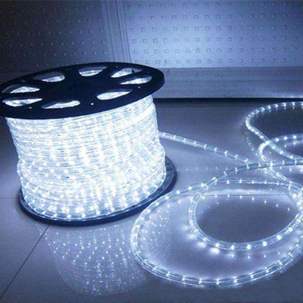 100 Feet 720 Led Rope Lights,2-wire Low Voltage Waterproof Rope Lights Outdoor,indoor Background Lighting Idear For Trees,bridges,eaves,pool