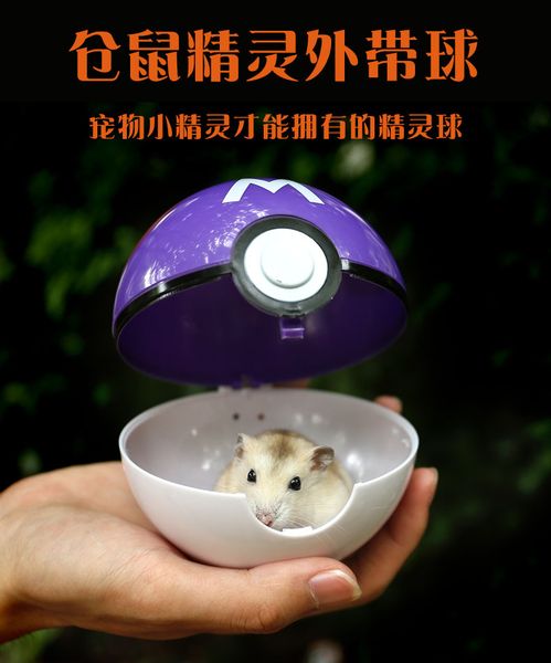hamster elf ball with cage over security artifact rolling toy carrying running portable
hamster elf ball with cage over security artifact rolling toy carrying running portable