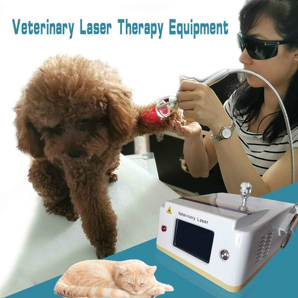 2020 new function dogs horses cats animals pets veterinary use wound healing pain relieve cold laser therapy instrument for pets clinic
2020 new function dogs horses cats animals pets veterinary use wound healing pain relieve cold laser therapy instrument for pets clinic