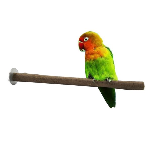 branch chewing pet supplies scratch cage accessories stand stick bird toy paw grinding parakeet practical wood parrot perch
branch chewing pet supplies scratch cage accessories stand stick bird toy paw grinding parakeet practical wood parrot perch