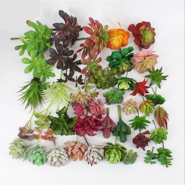 1pcs artificial plants succulents plastic plants grass leaves landscape simulation plant home office fake flower christmas deco
1pcs artificial plants succulents plastic plants grass leaves landscape simulation plant home office fake flower christmas deco