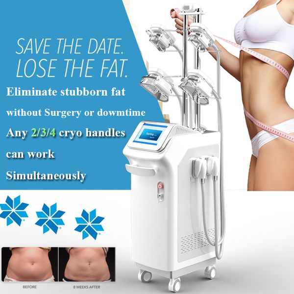 формирователь тела cryolipolysis жира замораживания похудения машина системы охлаждения липосакция массаж машина 4 крио ручки могут работать
формирователь тела cryolipolysis жира замораживания похудения машина системы охлаждения липосакция массаж машина 4 крио ручки могут работать