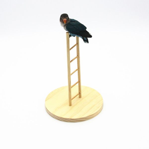hamster swing hammock parrot gnaw toys stand bar training bird climb the ladder