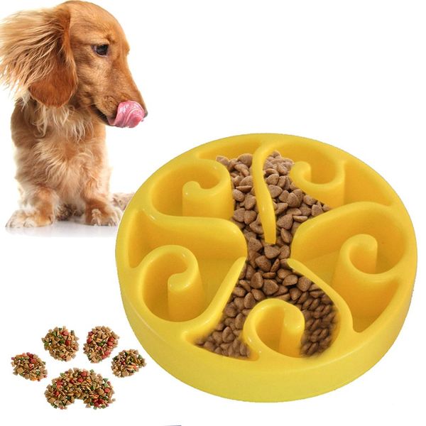 slow bowl pet feeder slow feed interactive bloat sdog cat eating dish 1 pcs 
slow bowl pet feeder slow feed interactive bloat sdog cat eating dish 1 pcs