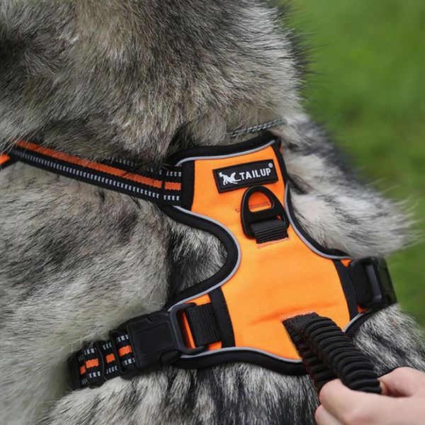 pet harness for large dog harness vest pet accessories nylon reflective training dog collar adjustable soft comfort all
pet harness for large dog harness vest pet accessories nylon reflective training dog collar adjustable soft comfort all