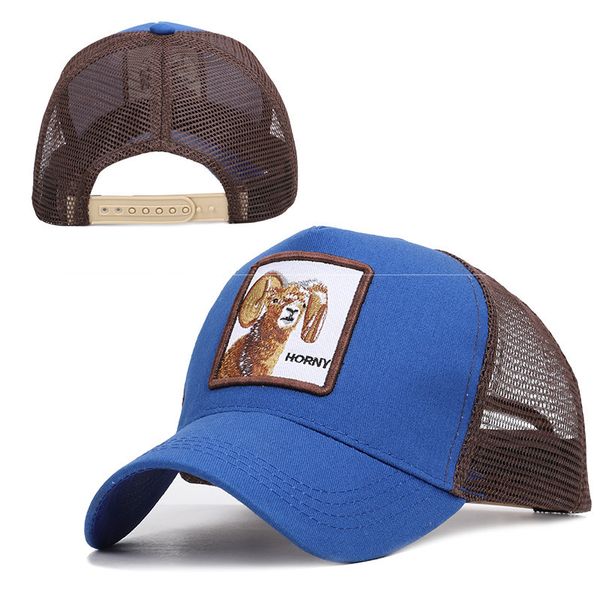 ladies hat men'strucker cap performance running cap lightweight quick dry sport for women, Blue;gray
ladies hat men'strucker cap performance running cap lightweight quick dry sport for women, Blue;gray