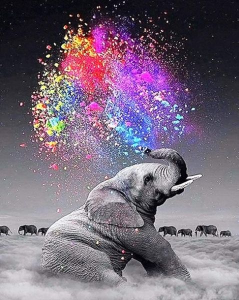 5d diy diamond painting animal full round diamond mosaic elephant full square embroidery cross stitch colours fireworks
5d diy diamond painting animal full round diamond mosaic elephant full square embroidery cross stitch colours fireworks