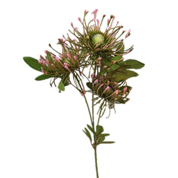 l 3 heads fake artificial flower leucospermum home decorative party flowerpot plastic garden office wedding simulation
l 3 heads fake artificial flower leucospermum home decorative party flowerpot plastic garden office wedding simulation